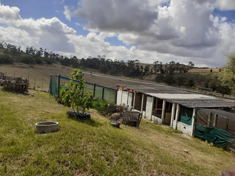 0 Bedroom Property for Sale in Riversdale Western Cape